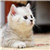 http://www.dygorgeous.com