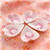 www.yonboz.com