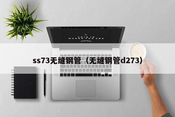 ss73無縫鋼管（無縫鋼管d273）