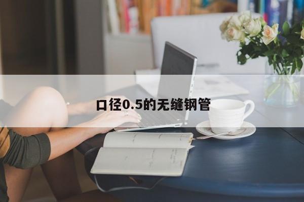 口徑0.5的無縫鋼管