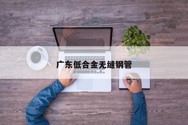 廣東低合金無縫鋼管
