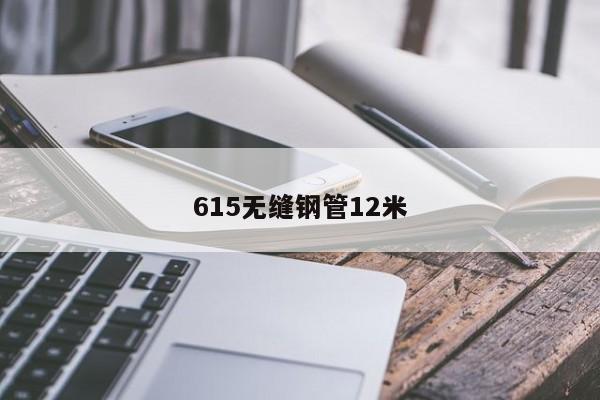 615無縫鋼管12米